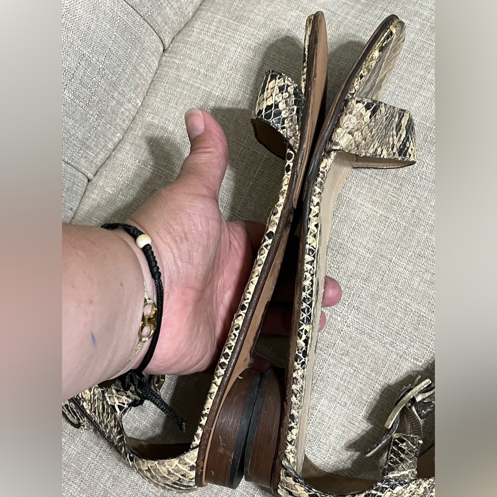 FENDI Snakeskin Python Gladiator Strappy Sandals … - image 10